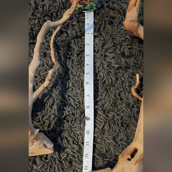 2 Zoo Spider Wood 1 X-Large(20"-23") 1 (11") - Picture 7 of 8